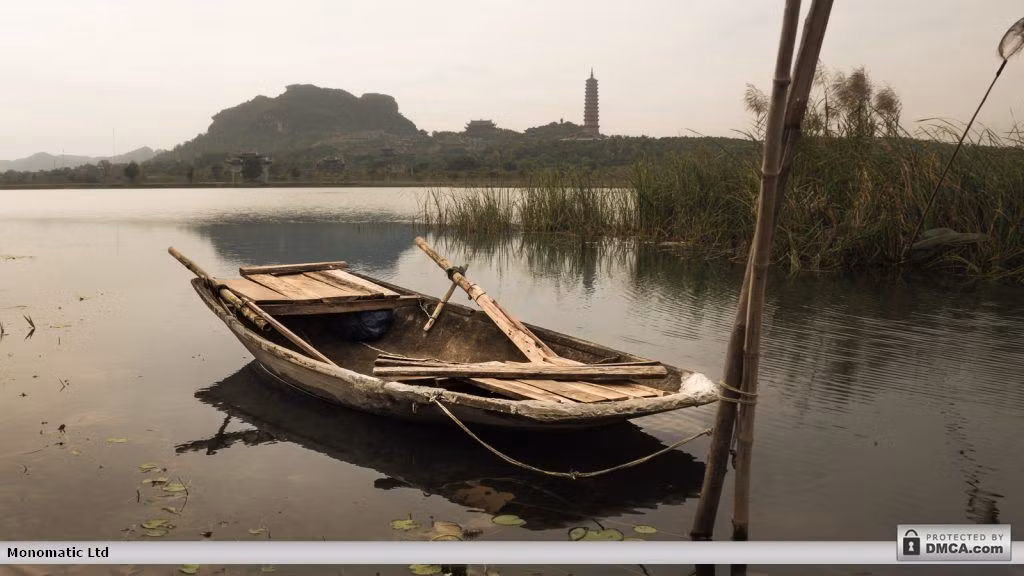 Ảnh: Gomandrake.co.uk.