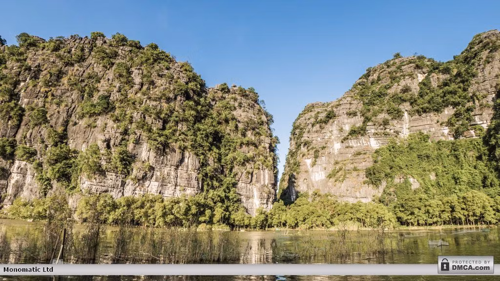 Ảnh: Gomandrake.co.uk.