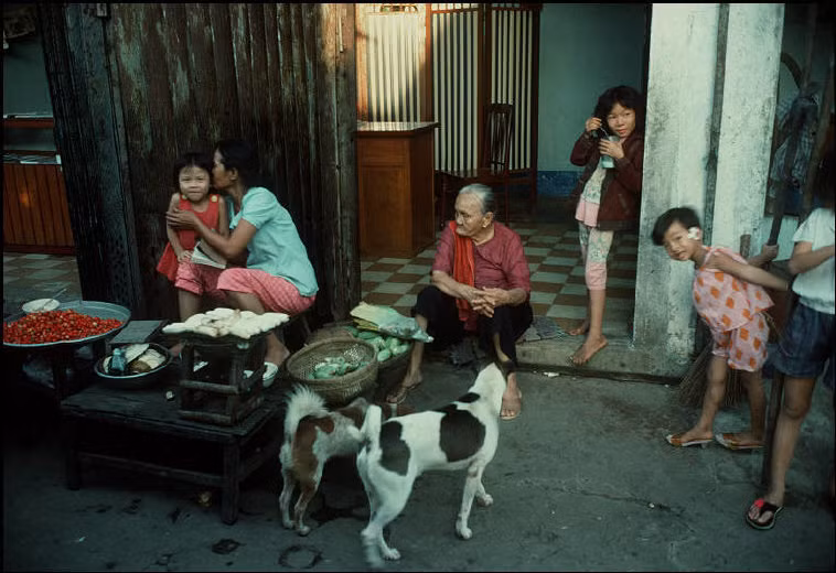 Những chú chó lởn vởn bên một quầy rau quả ở vỉa hè TP Cần Thơ năm 1994. Ảnh: HG/ Magnum Photos.