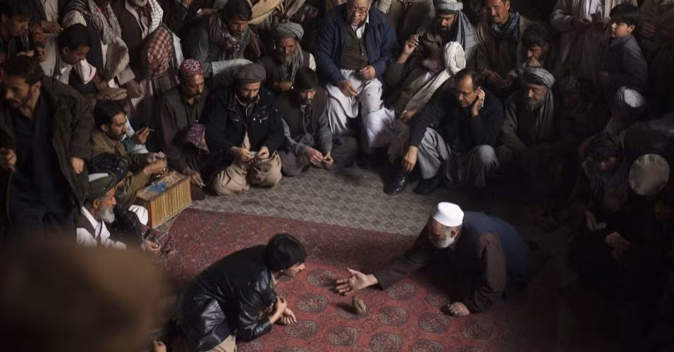 Các cuộc chọi chim cút không chỉ là thú mua vui thuần túy mà thường gắn liền với cá độ. Ảnh: UOL Notícias.