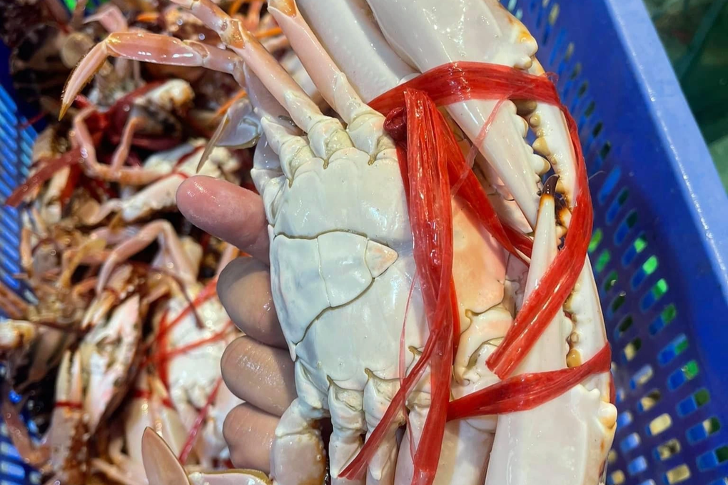 Lưu ý khi mua hải sản online để tránh thất vọng tràn trề - Hình 2 Luu y khi mua hai san online de tranh that vong tran tre-Hinh-2