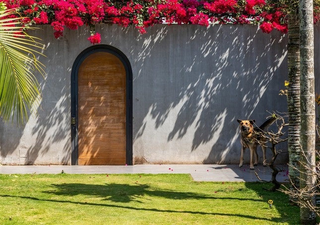 Chủ nhà cho biết "từ khi hoàn thành ngôi nhà gia đình rất ít khi đi du lịch vì họ coi như ngôi nhà là nơi nghỉ dưỡng lý tưởng rồi ". 