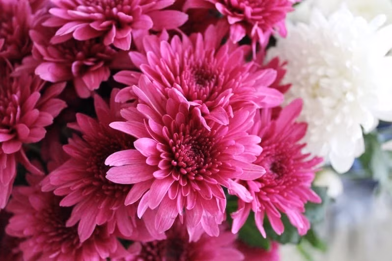 Sau Ram thang Gieng, 3 con giap gap quy nhan, huong loc vang-Hinh-2