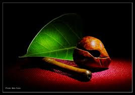 Tu là từ những thị phi, ta vượt thoát phiền não.