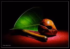 Tu là từ những thị phi, ta vượt thoát phiền não.