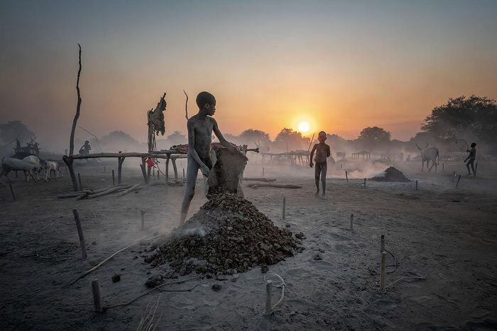 Theo tác giả Johan Gerrits, thổ dân Mundari là một trong những bộ lạc chăn gia súc giỏi nhất. Trong các trại gia súc, những đứa trẻ làm hầu hết công việc. Chúng thu thập phân bò tươi, chất thành đống và đốt lửa để xua đuổi muỗi. Người Mundari cũng sử dụng tro của đám cháy này chà lên thân thể và gia súc, tạo thành lớp bảo vệ chống lại muỗi.