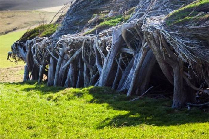 Khu vực này luôn luôn phải chịu những trận gió tây nam mạnh mẽ, khốc liệt và lạnh lẽo từ Nam cực thổi tới.