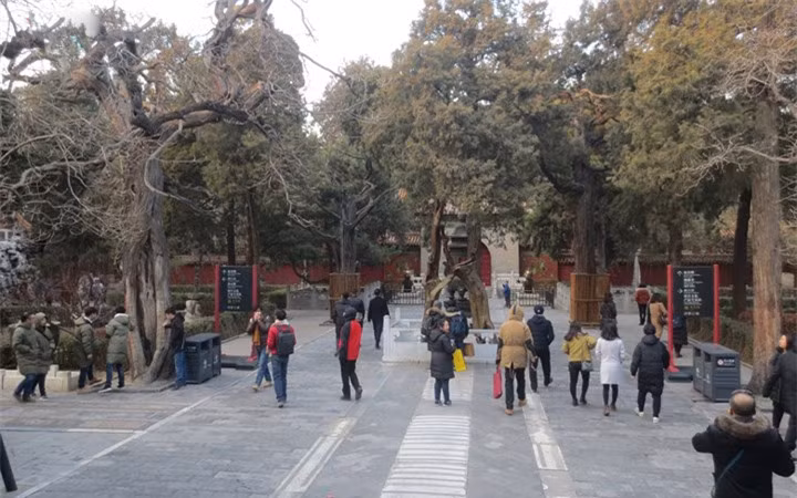 Khu vườn này là nơi Vua chúa, Hoàng hậu và các phi tần, cung nữ xưa kia thưởng ngoạn vẻ đẹp thiên nhiên. Ngày nay, đây là một trong những điểm hút khách bậc nhất thủ đô Bắc Kinh, Trung Quốc.