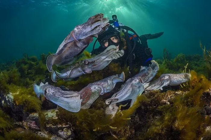 Ảnh của Scott Portelli được đánh giá cao trong hạng mục “Nhiếp ảnh gia thám hiểm trong năm” (Exploration Photographer of the Year) tại cuộc thi Ocean Photographer of the Year 2021 (Nhiếp ảnh gia đại dương năm 2021)