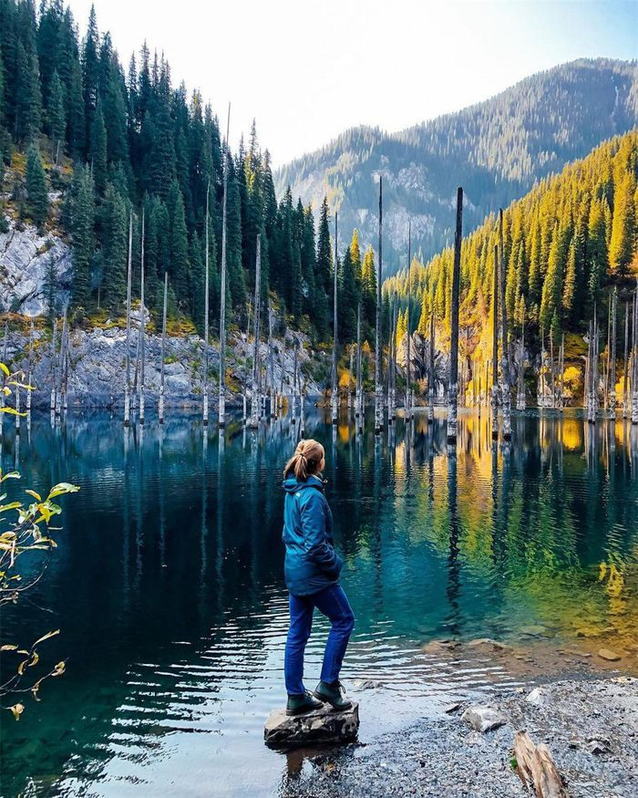 Sau thảm họa đó, cây cối bị nhấn chìm trong biển nước. Nhiều người nghĩ rằng những cây vân sam chìm dưới hồ sẽ bị chết. Thực tế, chúng vẫn sinh trưởng tốt. Rừng cây vân sam này cùng với màu xanh của nước hồ Kaindy tạo nên cảnh tượng thiên nhiên kỳ thú. Ảnh:Mariya_mahambetovna, julia_zaitsava.