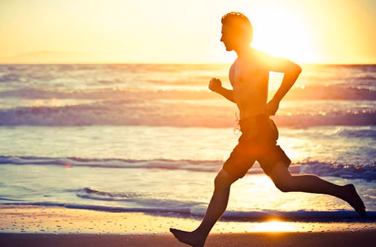 Các nhà khoa học tin rằng, lượng nước dồi dào trong bia góp phần ngăn cản quá trình trên. Thậm chí, họ còn so sánh tác động của nó tương đương với việc tập thể dục thường xuyên và ăn uống điều độ.