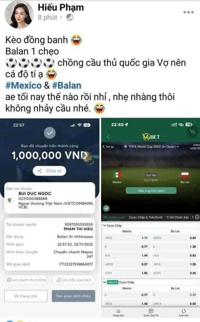 Dang anh ca do bong da len Facebook, vo Ho Tan Tai len tieng