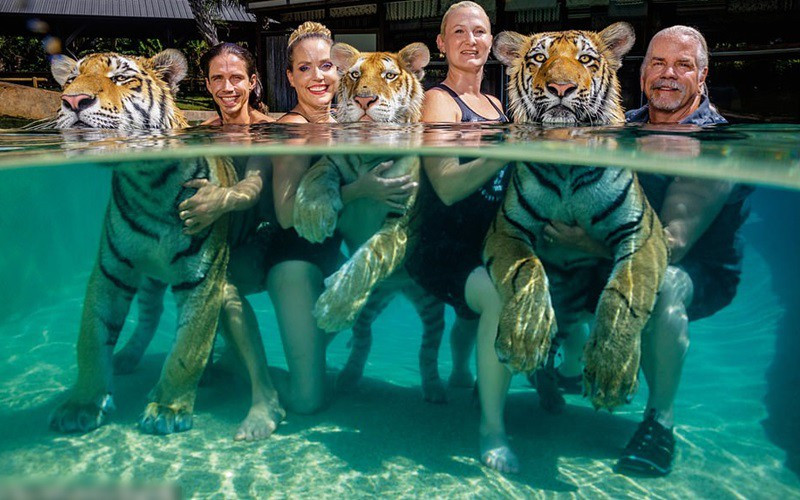 Ky thu anh chuot “khieu vu” tai ngoi den An Do-Hinh-2