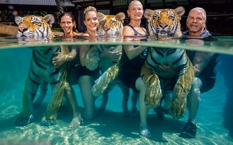 Ky thu anh chuot “khieu vu” tai ngoi den An Do-Hinh-2