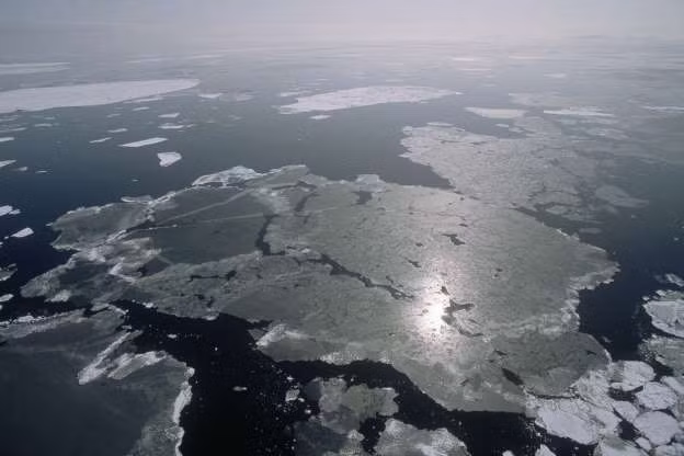 Bắc Cực đang co lại. Trong vòng 50 năm tới, tác động của hiện tượng ấm dần lên toàn cầu có thể khiến lớp băng dày ở Bắc Cực tan chảy dần.