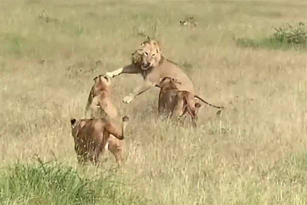 Su tu duc gianh moi con cai va ket cuc dang long