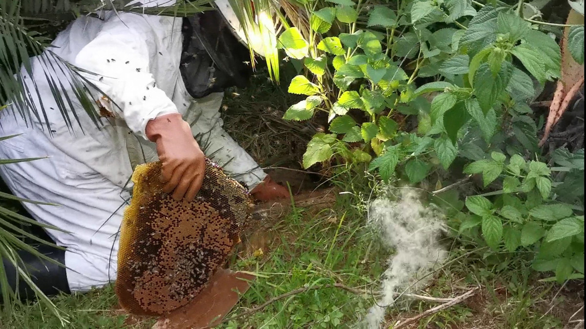 Kich tinh man bat tran khung hon 4m, bi 