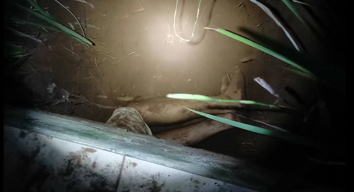 Kich tinh man bat tran khung hon 4m, bi 