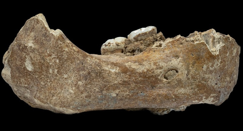 Xương hàm của người Denisovans được một thầy tu phát hiện trong một hang động ở Cao nguyên Tây Tạng không chỉ mở rộng phạm vi sinh sống của một trong những tổ tiên lâu đời nhất của con người này mà còn cho thấy họ có khả năng sinh sống ở những khu vực trên cao có điều kiện khắc nghiệt.