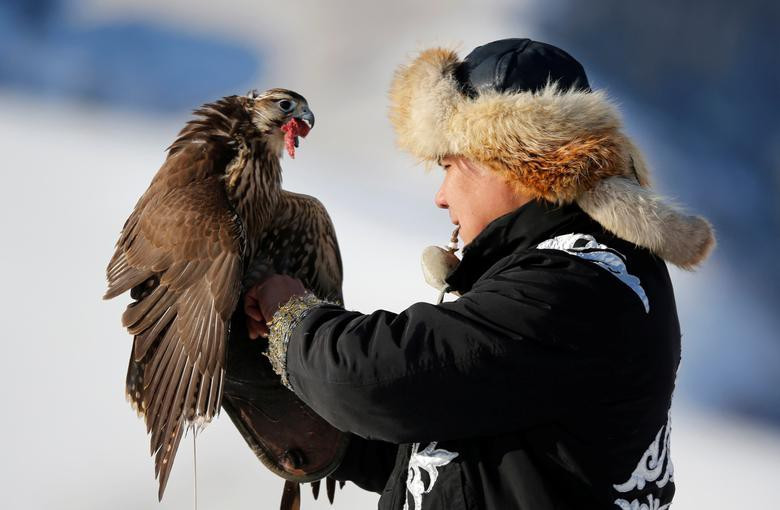 Việc đi săn cùng đại bàng từng bị cấm dưới thời Liên Xô nhưng người dân tộc Kazakhstan ở Trung Quốc và Mông Cổ vẫn giữ được truyền thống này.