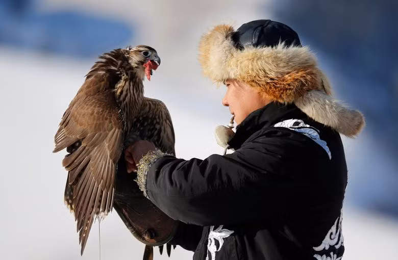 Việc đi săn cùng đại bàng từng bị cấm dưới thời Liên Xô nhưng người dân tộc Kazakhstan ở Trung Quốc và Mông Cổ vẫn giữ được truyền thống này.