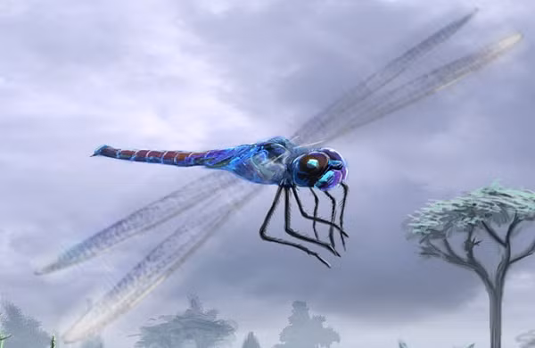 Meganeura là một loại chuồn chuồn cực lớn với sải cánh có chiều dài gần bằng một đứa bé, khiến nó trở thành một trong những loài côn trùng săn mồi lớn nhất trong lịch sử thế giới.