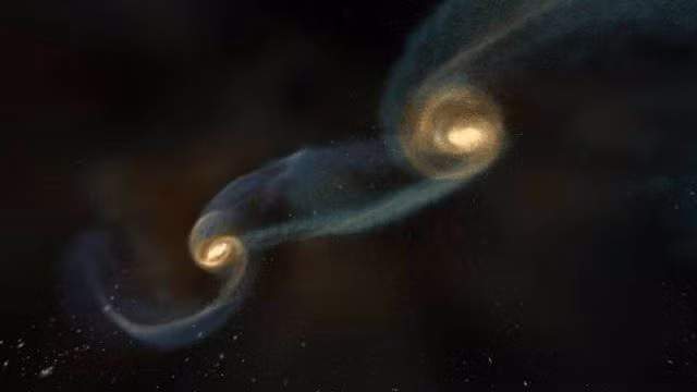 Một nhà khoa học từng đưa ra giả thuyết rằng khi vật chất được nén cực đại tại trung tâm lỗ đen, thì một vũ trụ con sẽ ra đời. Các vũ trụ tiếp tục phát triển, tạo nhiều của các lỗ đen, và thống trị đa vũ trụ.