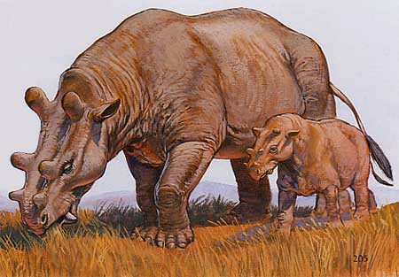 Uintatherium và eobasileus đều là họ hàng xa của tê giác ngày nay, nhưng ngoại hình của chúng không khác gì bị nhiễm nấm với cặp sừng hết sức kỳ dị. (Ảnh: tê giác Uintatherium).