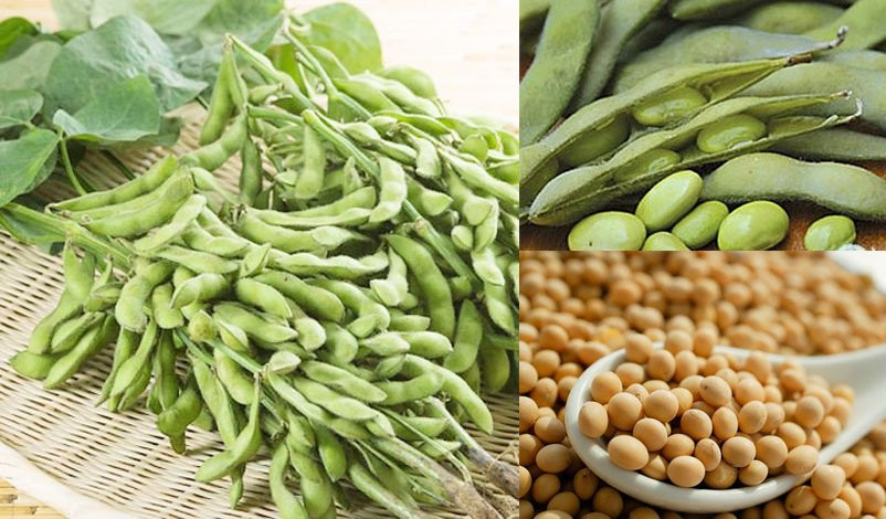 Người sống thọ, đường ruột khỏe mạnh luôn có 4 thói quen này Nguoi song tho, duong ruot khoe manh luon co 4 thoi quen nay