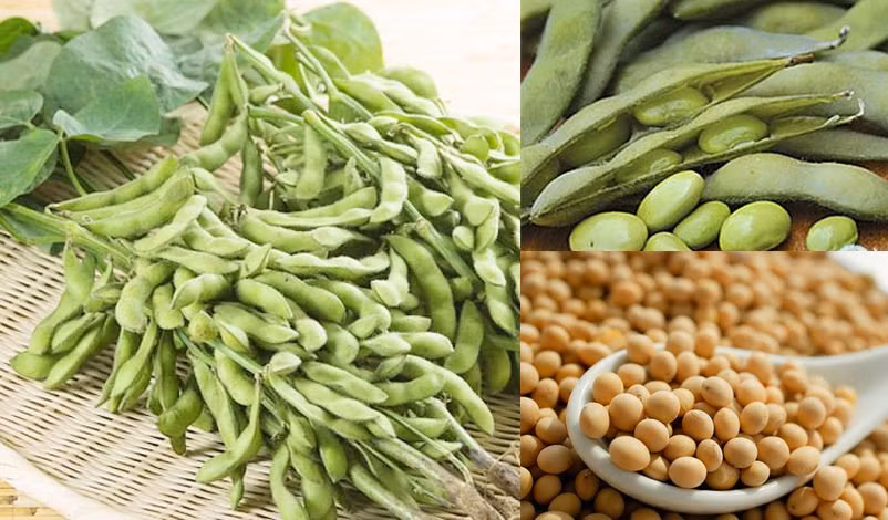 Nguoi song tho, duong ruot khoe manh luon co 4 thoi quen nay