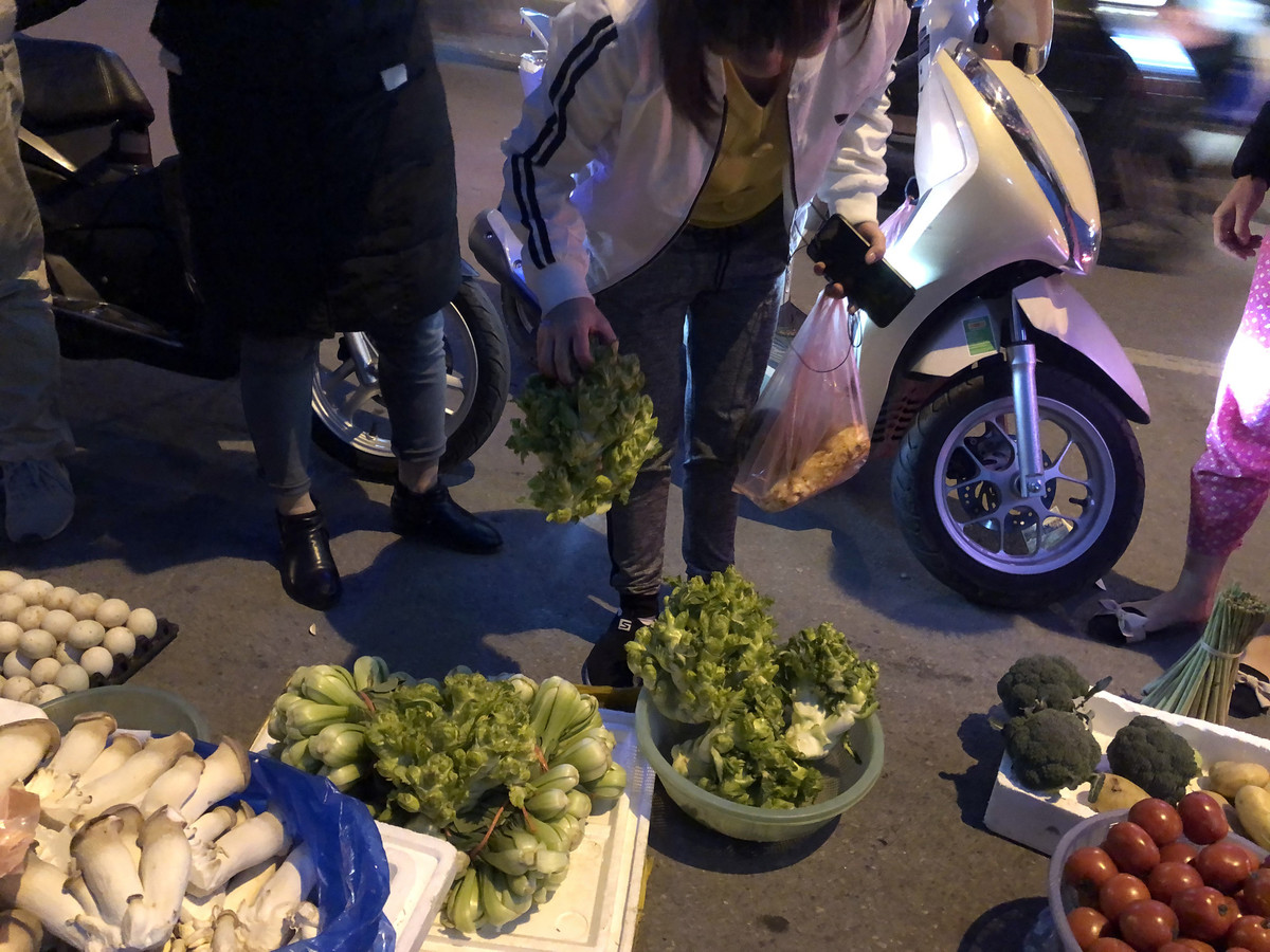 Su that sau cay mam da xanh muot, ba noi tro nao cung phai 