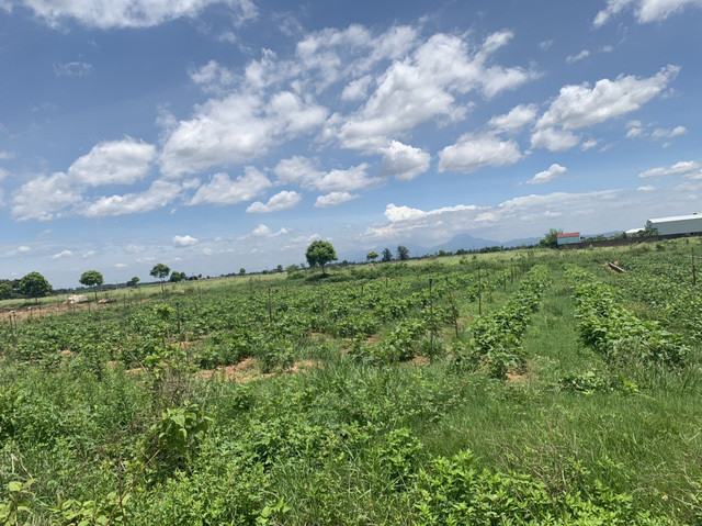 Ha Noi xuat hien khu vuc co gia dat 