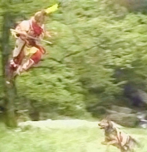 Nguyen nhan that su khien Ton Ngo Khong bai truoc Nhi Lang Than-Hinh-5