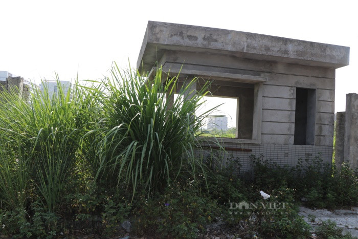 Xót xa bệnh viện nghìn tỉ bỏ hoang, cỏ mọc um tùm, xuống cấp - Hình 11 Xot xa benh vien nghin ti bo hoang, co moc um tum, xuong cap-Hinh-11