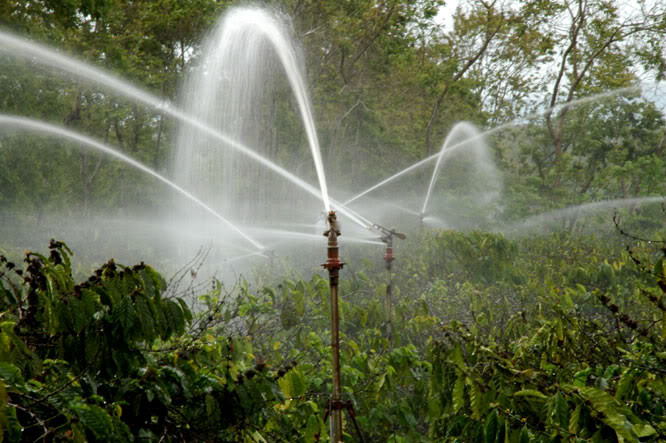 Xác nữ giới “trần trụi” dưới giếng, hé lộ tội ác kinh hoàng - Hình 2 Xac nu gioi “tran trui” duoi gieng, he lo toi ac kinh hoang-Hinh-2