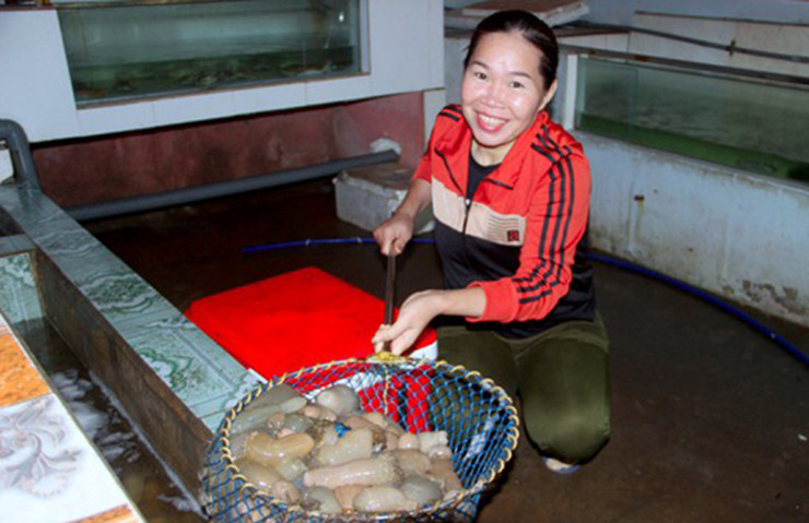 Bình thường, giá rum trong khoảng 100.000 - 130.000 đồng/kg, thời điểm này giá rum loại 1 đã tăng lên từ 180.000 - 200.000 đồng/kg.