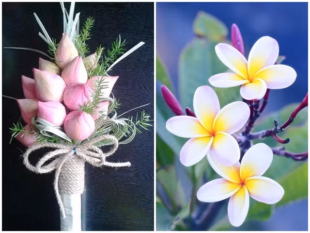 Những người này trong đời thường phải lo toan nhiều, nhưng họ đối mặt chúng bằng tinh thần thoải mái nhất có thể.