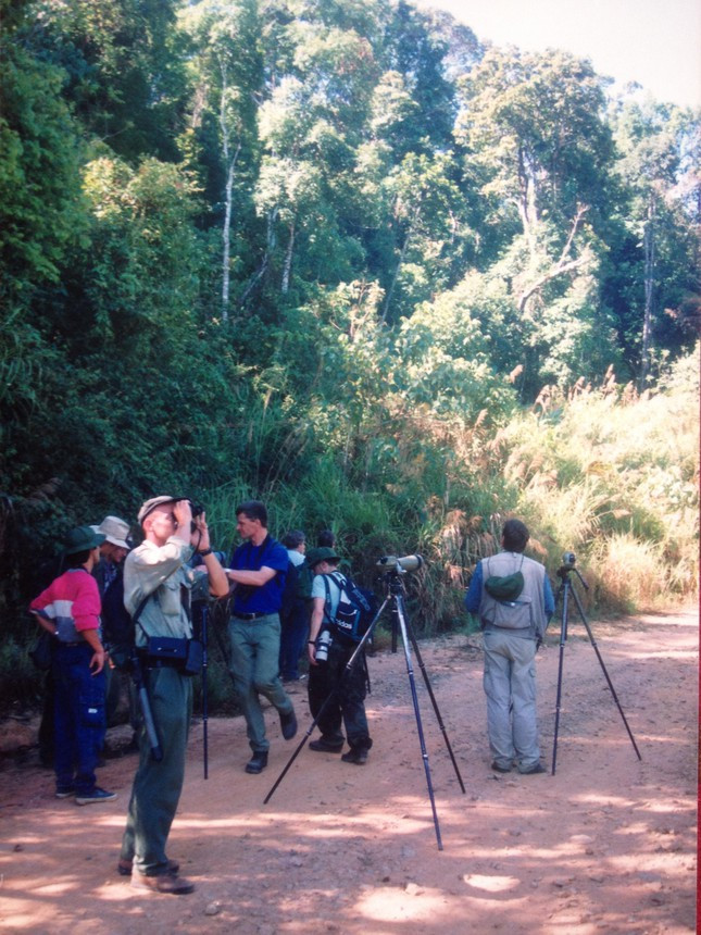 “Chôn chân” ở nơi ngắm chim lý tưởng nhất Việt Nam ảnh 2