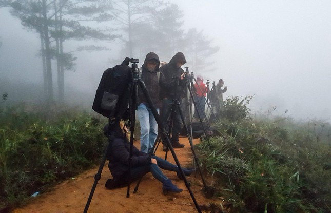 “Chôn chân” ở nơi ngắm chim lý tưởng nhất Việt Nam ảnh 5