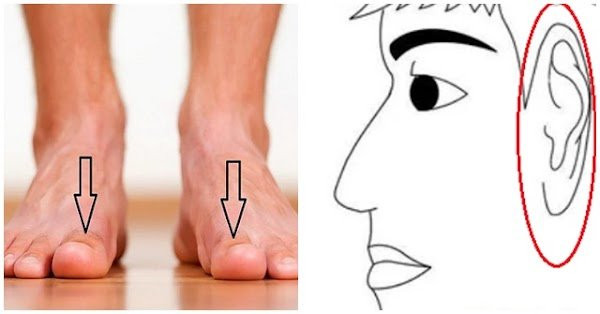 Đàn ông sở hữu 1 thứ dài, 2 thứ to, ai lấy được sướng cả đời - Hình 2 Dan ong so huu 1 thu dai, 2 thu to, ai lay duoc suong ca doi-Hinh-2