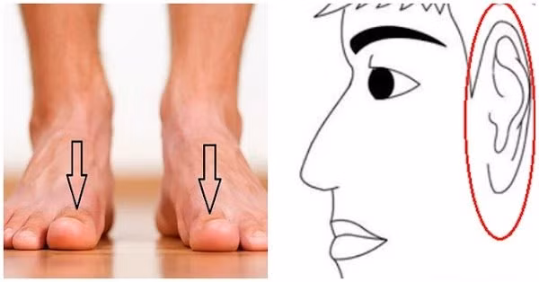 Dan ong so huu 1 thu dai, 2 thu to, ai lay duoc suong ca doi-Hinh-2