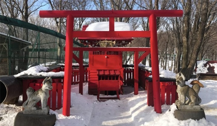 Thoa thich dua nghich cung ca 