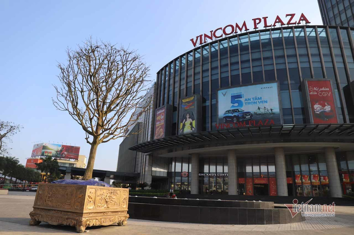 Nua the ky cham goc mai vang, dang co quai ho gia 200 trieu