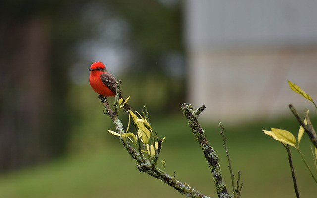Sinh vao 3 thang Am nay long tot duoc hoi bao, lam gi cung phat