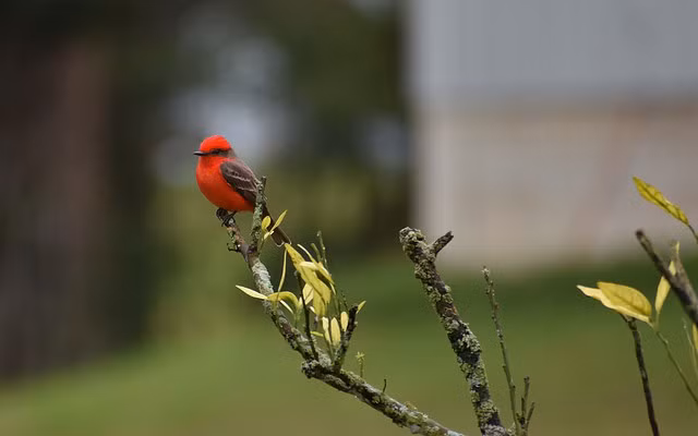 Sinh vao 3 thang Am nay long tot duoc hoi bao, lam gi cung phat