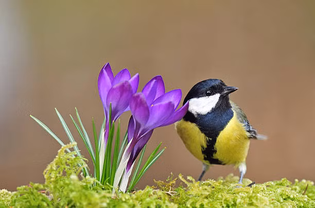 Sinh vao 3 thang Am nay long tot duoc hoi bao, lam gi cung phat-Hinh-2