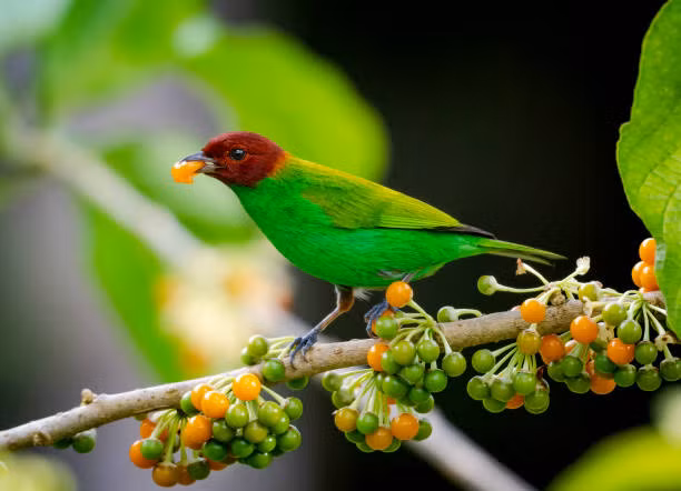 Sinh vao 3 thang Am nay long tot duoc hoi bao, lam gi cung phat-Hinh-4