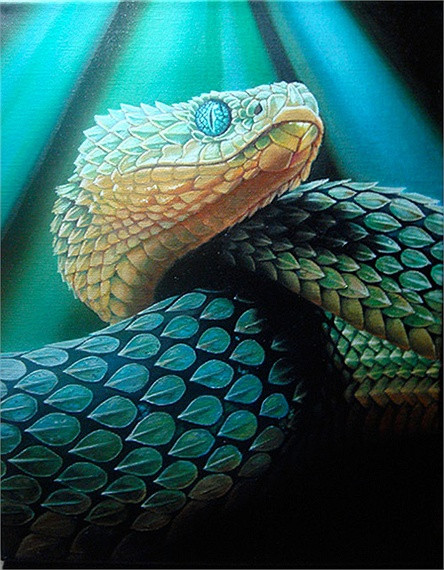 Chiếm số lượng đông đảo nhất là loài rắn Viper. Người dân tin rằng, chúng là bầy tôi của Chor Soo Kong, tức vị thần của đền. Người Malaysia tin rằng, loài rắn có mặt ở đền là để bảo vệ, giữ gìn sự tôn nghiêm.