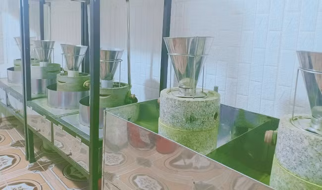 Bo viec luong cao ve que khoi nghiep, 8x Hai Phong thu ca ty dong/nam-Hinh-2