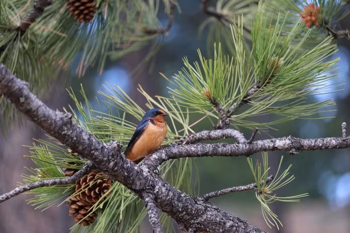 Ai sinh thang Am nay nua doi vat va, tuoi trung nien phuc bao vo tan-Hinh-2